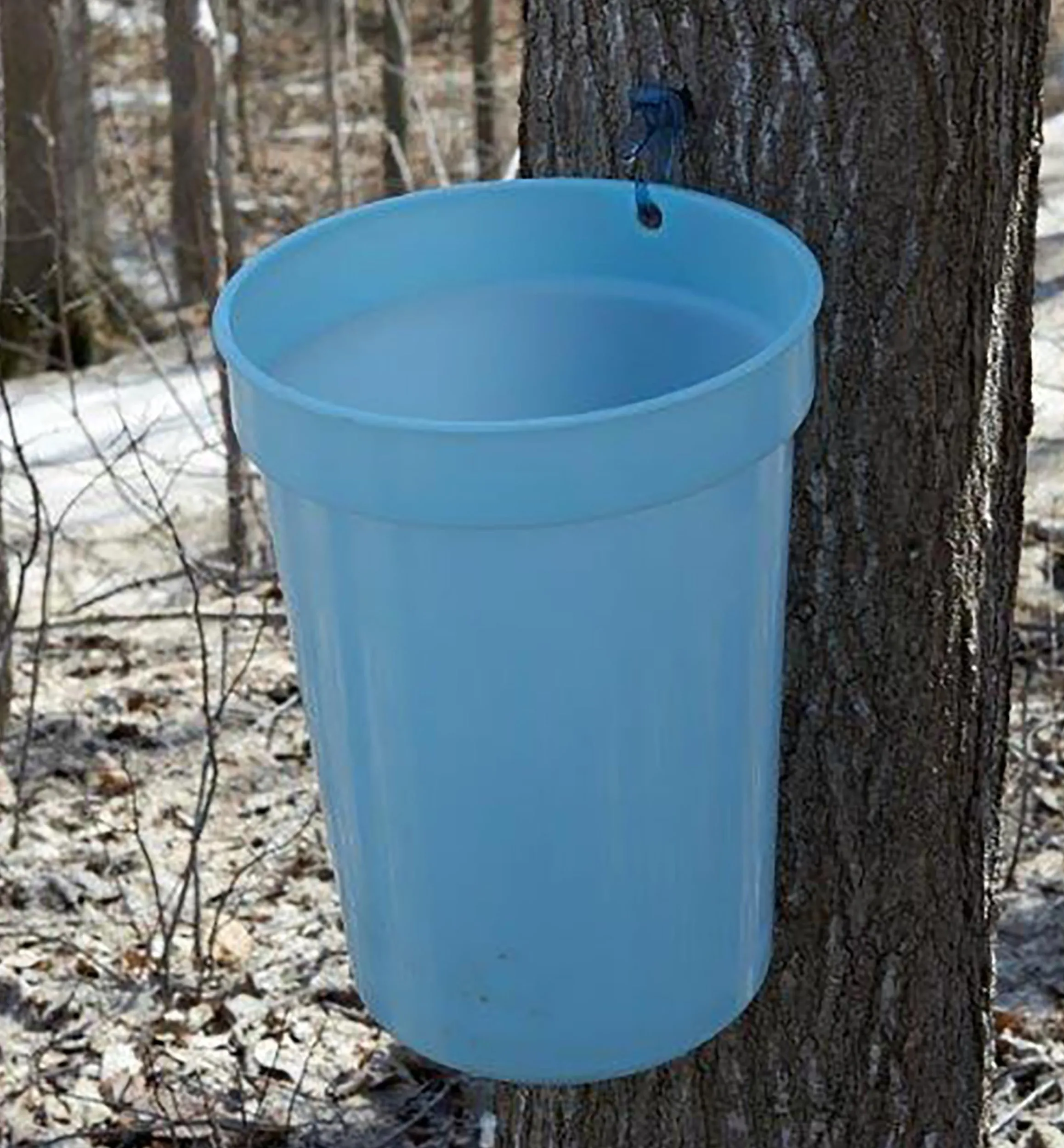 Lee Valley Harvesting>Maple Syrup Starter Kit