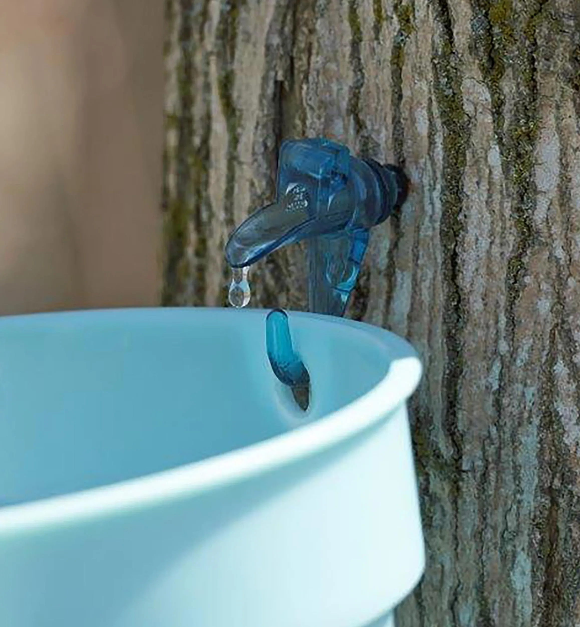 Lee Valley Harvesting>Maple Syrup Starter Kit