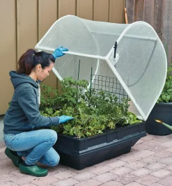 Lee Valley Container Gardening>Medium Vegepod Container Garden