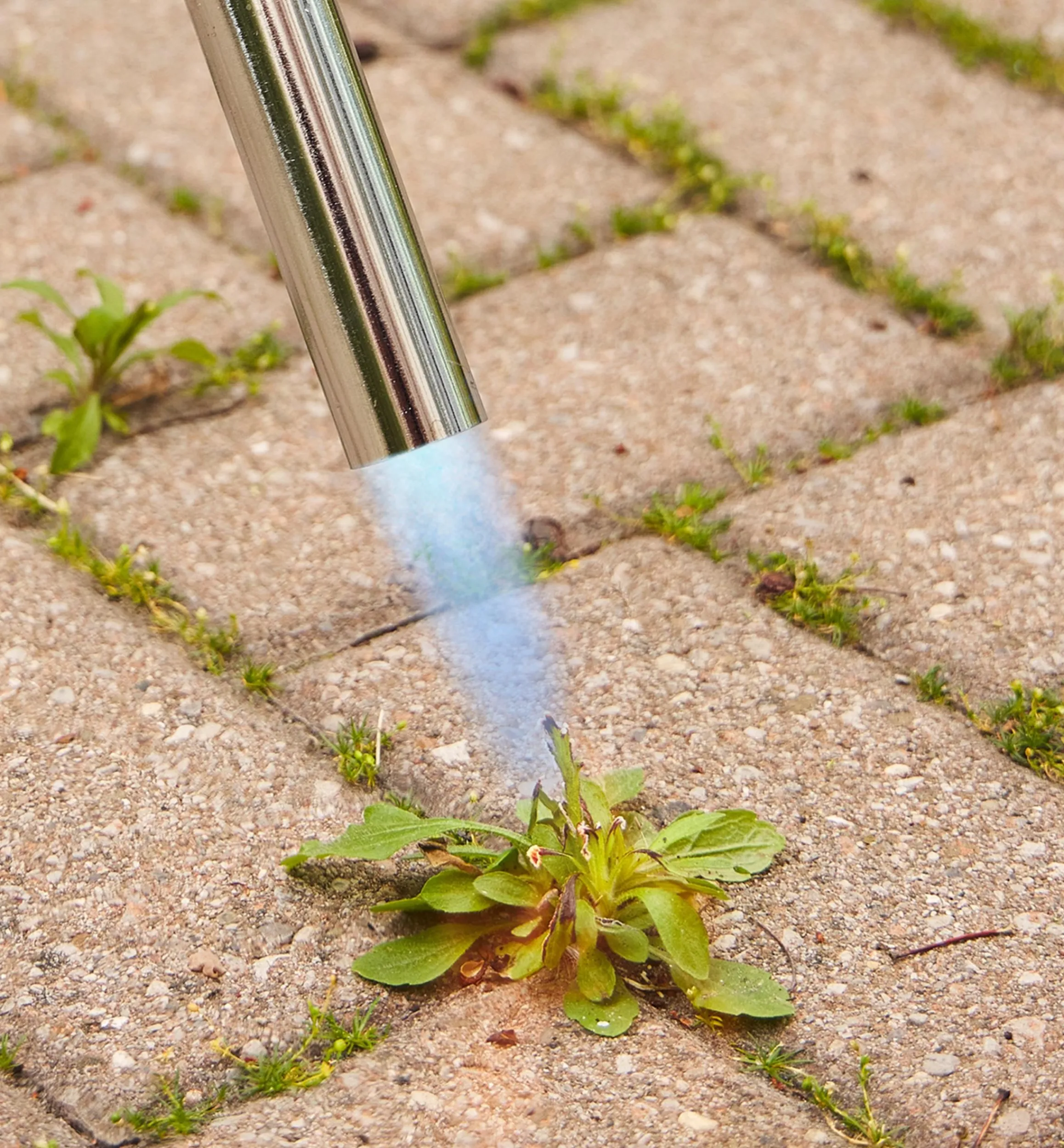 Lee Valley Garden Care>Mini Weed Torch