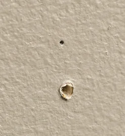 Lee Valley Marking & Measuring><noscript><img width=