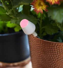 Lee Valley Weather Measurement>Moisture Sensor