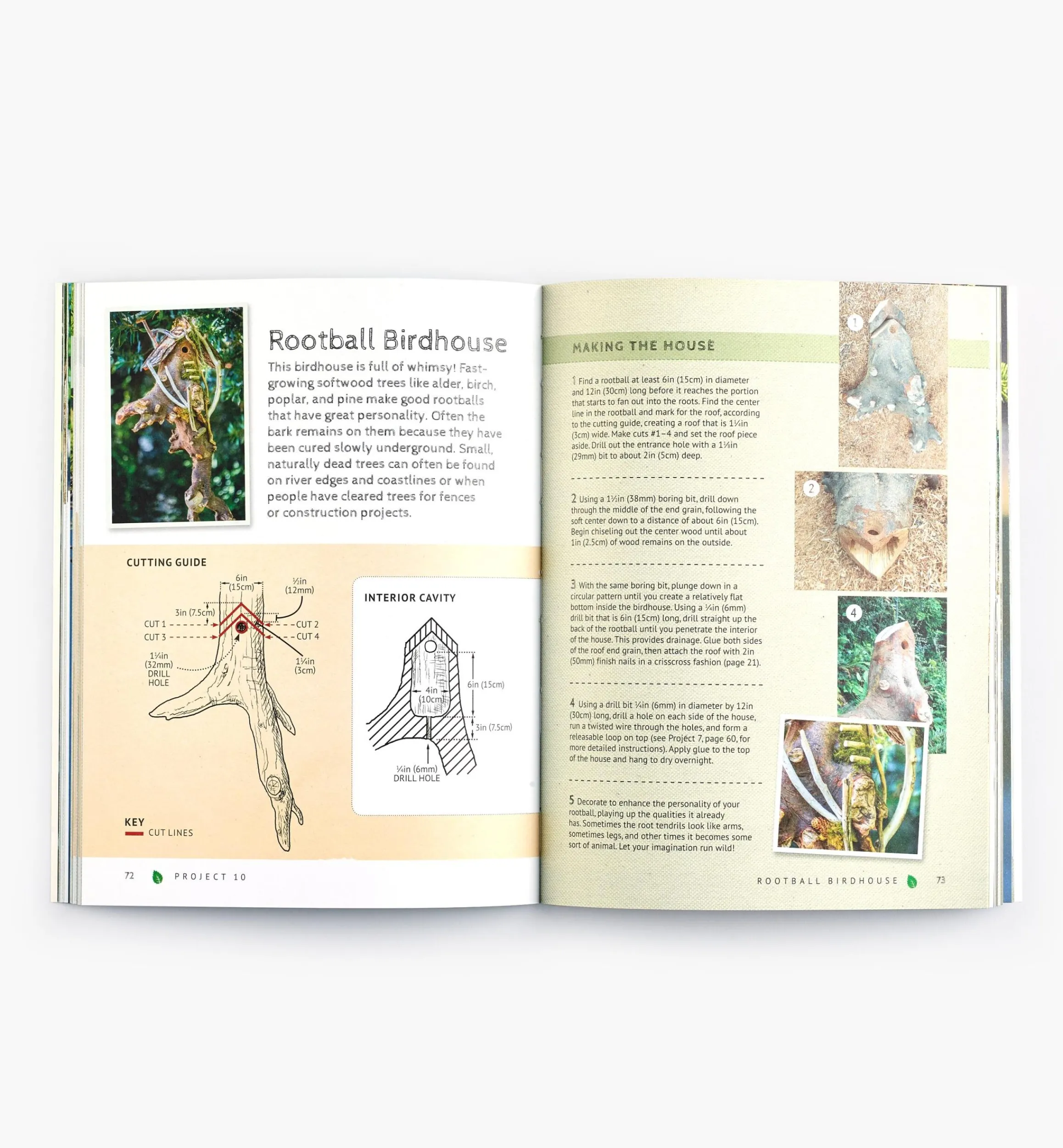 Lee Valley Birding>Natural Birdhouses