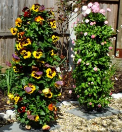 Lee Valley Container Gardening>Pair Of Flower Towers