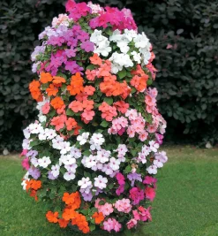 Lee Valley Container Gardening><noscript><img width=