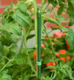 Lee Valley Stakes>Permanent Stakes