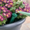 Lee Valley Indoor Gardening>PlantWell Watering Bulb