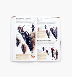 Lee Valley Birding><noscript><img width=