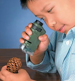 Lee Valley Office><noscript><img width=