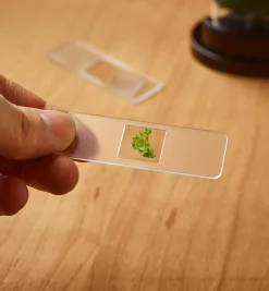 Lee Valley Office><noscript><img width=