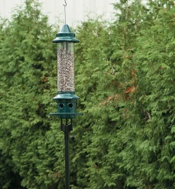 Lee Valley Birding><noscript><img width=