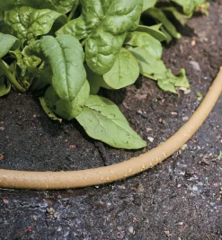 Lee Valley Hoses & Accessories><noscript><img width=