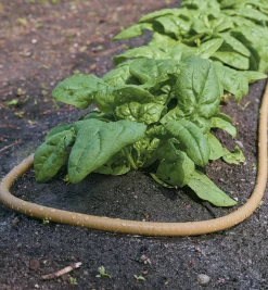 Lee Valley Hoses & Accessories><noscript><img width=