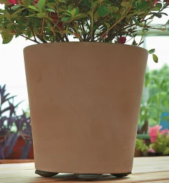 Lee Valley Indoor Gardening><noscript><img width=