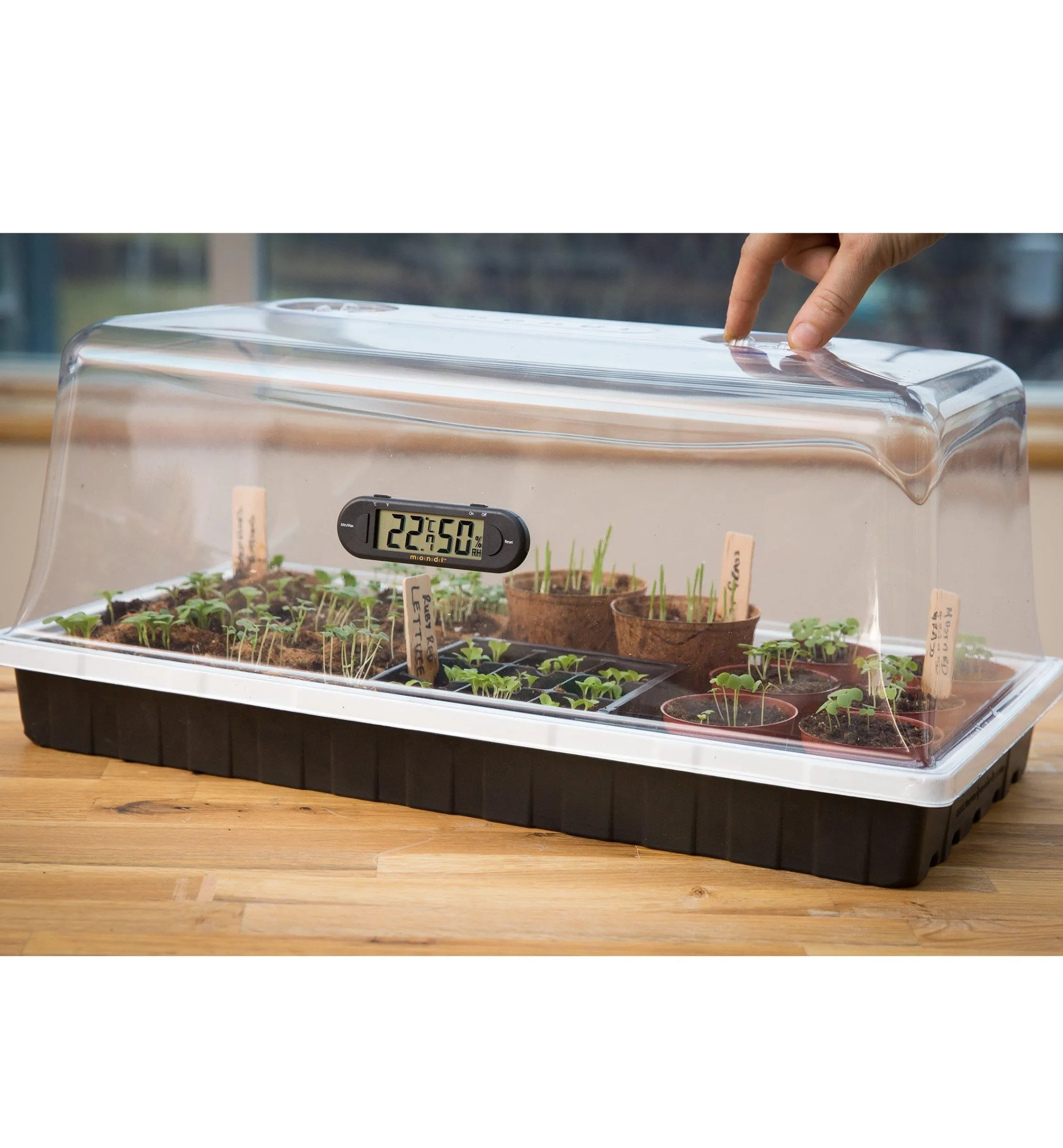 Lee Valley Seed Starting>Propagation Dome & Tray