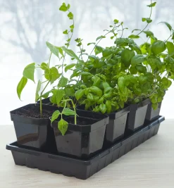 Lee Valley Seed Starting>Propagation Tray