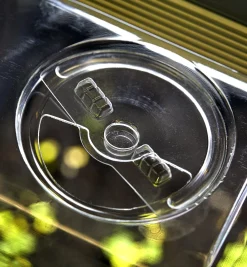 Lee Valley Seed Starting><noscript><img width=