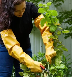 Lee Valley Gloves>Protective Pruning Gloves