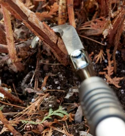 Lee Valley Pruners><noscript><img width=