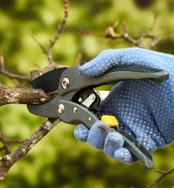Lee Valley Pruners>Ratcheting Hand Pruner