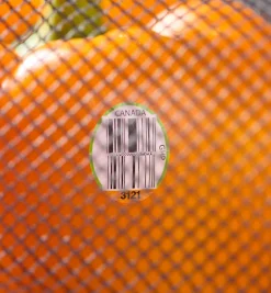 Lee Valley Food Storage><noscript><img width=