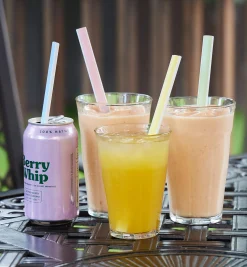 Lee Valley Serveware>Reusable Slider Straws