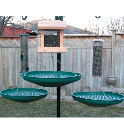 Lee Valley Birding><noscript><img width=