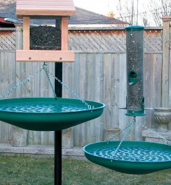 Lee Valley Birding><noscript><img width=