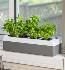 Lee Valley Indoor Gardening>Self-Watering Windowsill Planter