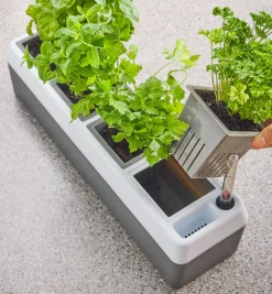 Lee Valley Indoor Gardening>Self-Watering Windowsill Planter