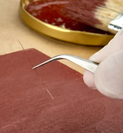 Lee Valley Hand Tools>Set Of 3 Forceps