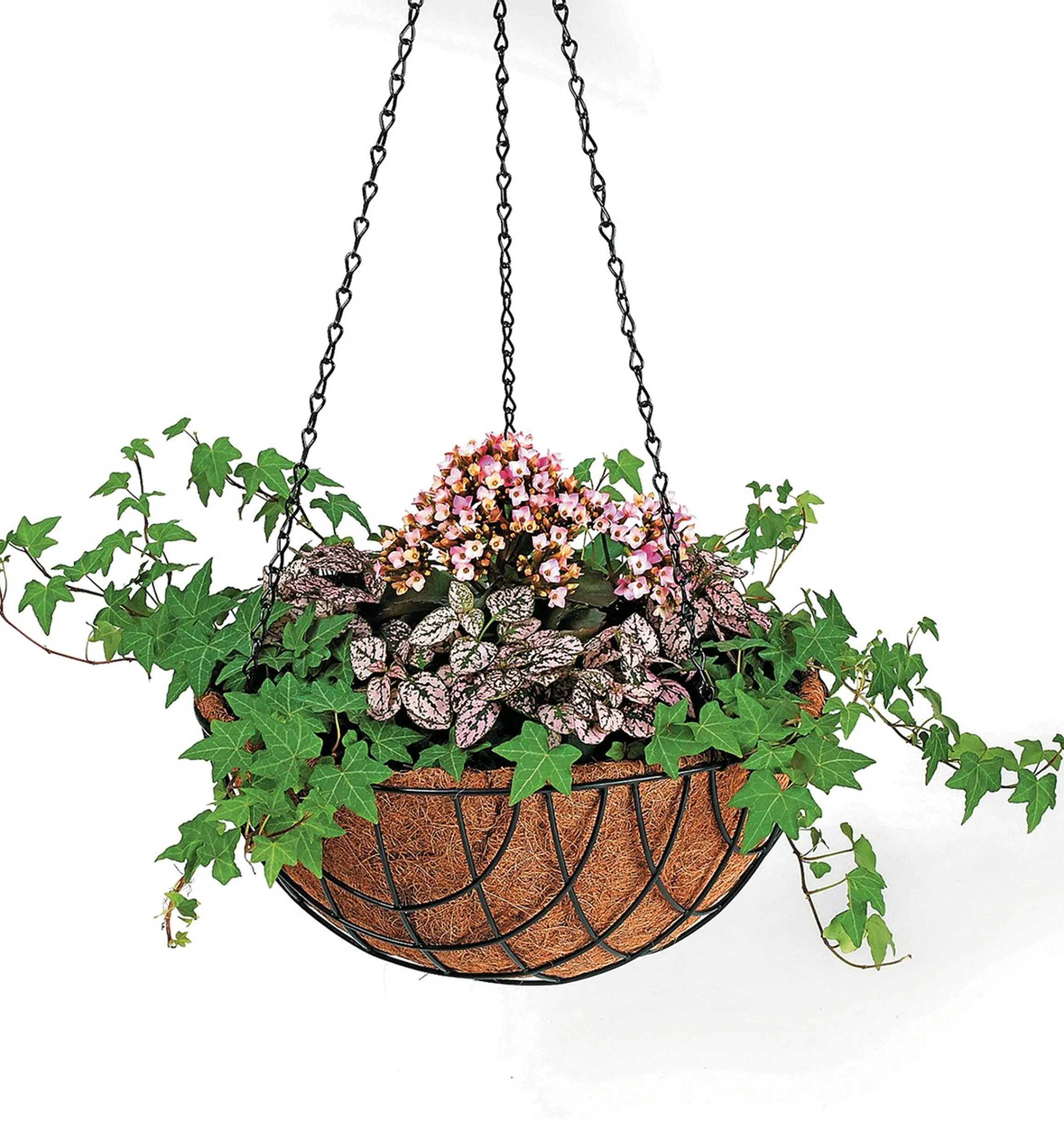 Lee Valley Container Gardening>Set Of 3 Hanging Baskets
