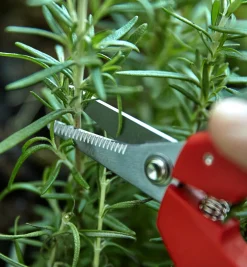 Lee Valley Hand Tools><noscript><img width=