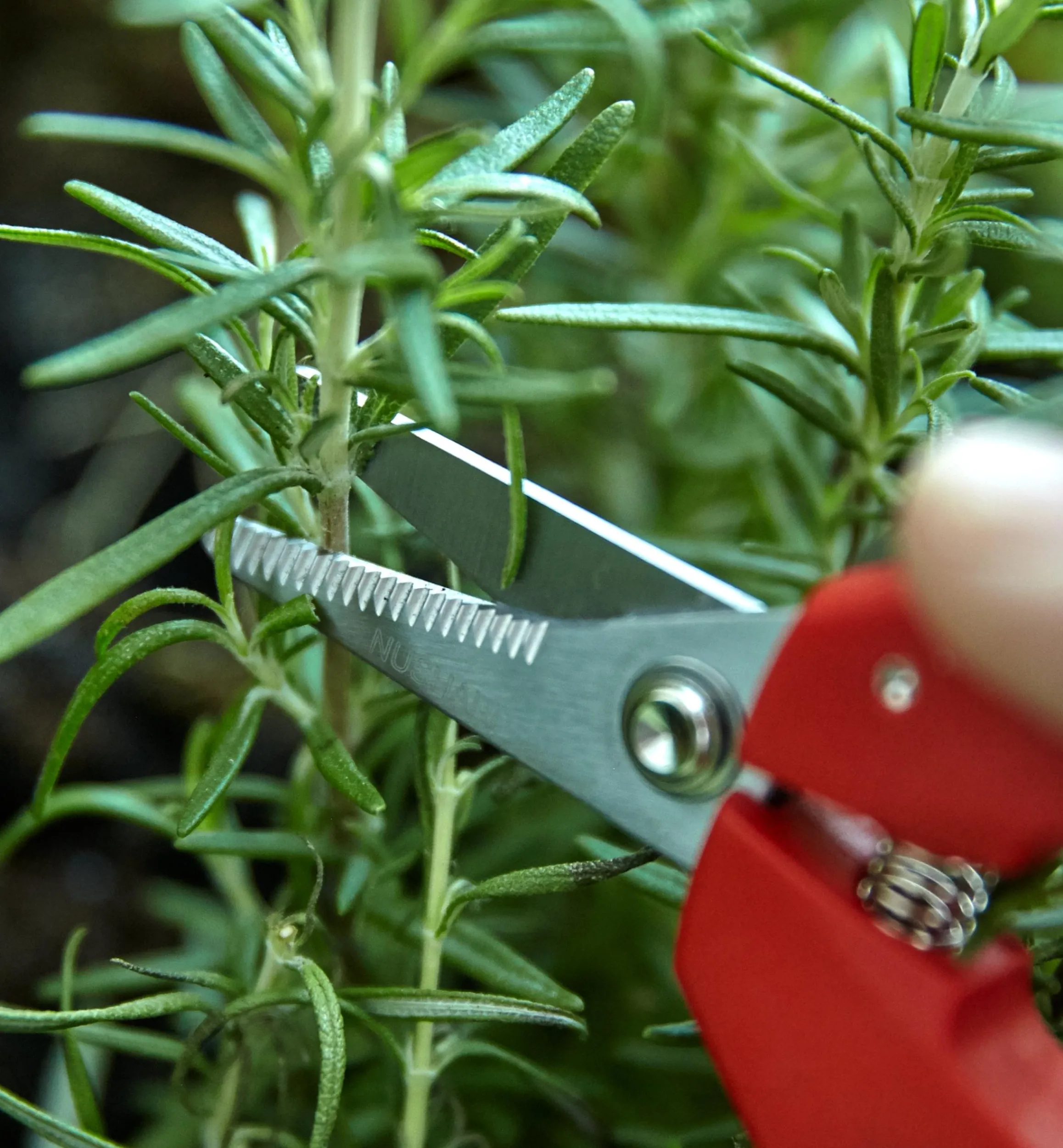 Lee Valley Hand Tools>Set Of 2 Multi-Purpose Mini Shears