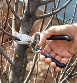 Lee Valley Pruners><noscript><img width=