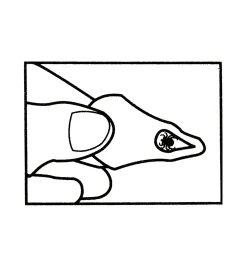 Lee Valley Pest Control><noscript><img width=