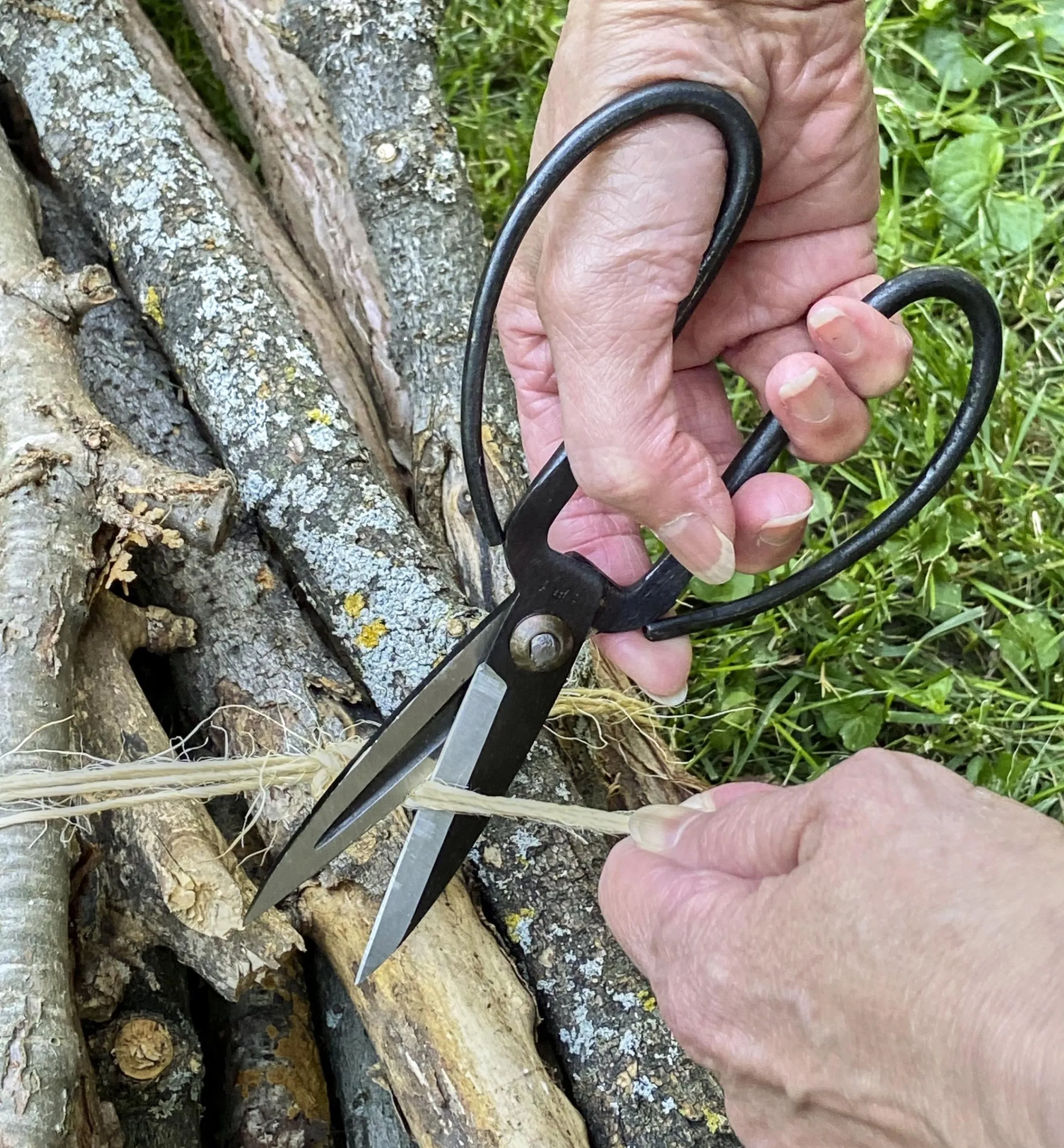 Lee Valley Scissors>Set Of 3 Traditional Chinese Scissors