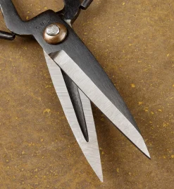 Lee Valley Scissors><noscript><img width=