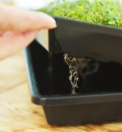 Lee Valley Seed Starting><noscript><img width=