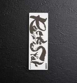 Lee Valley Sharpening><noscript><img width=