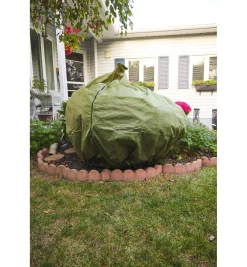 Lee Valley Plant Protection>Shrub & Potted Plant Protector