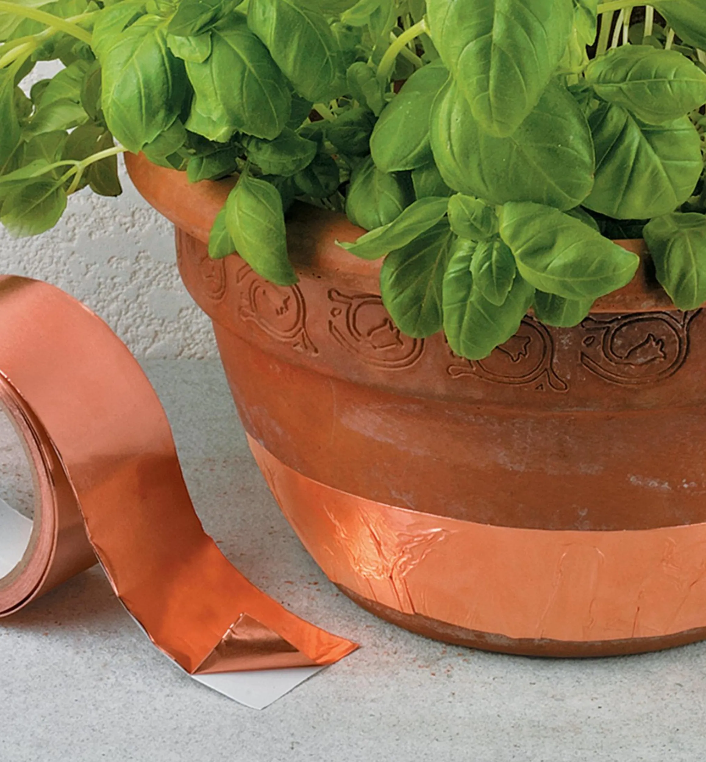 Lee Valley Pest Control>Slug-Repellent Tape