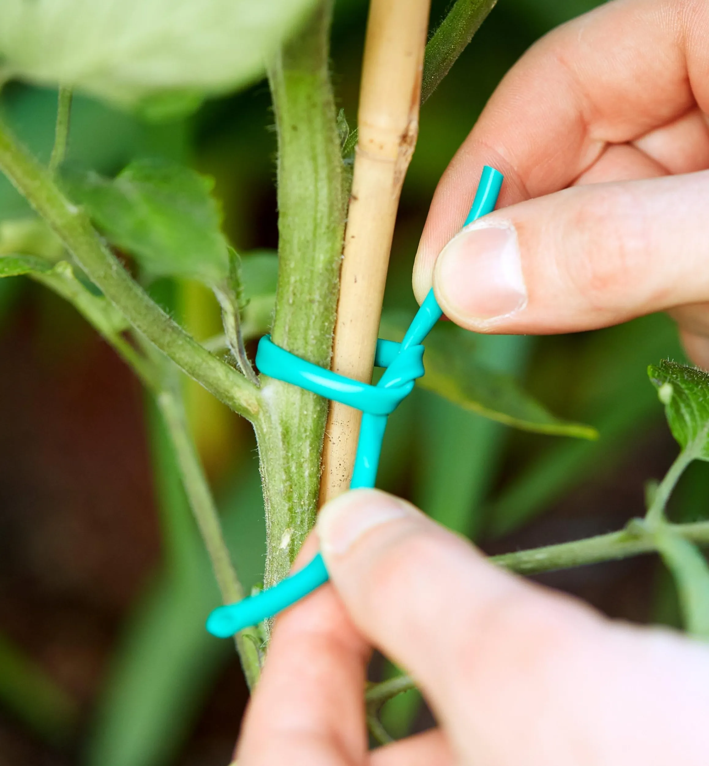 Lee Valley Ties & Clips>Soft-Stretch Plant Tie