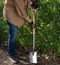 Lee Valley Garden Care>Spade & Fork