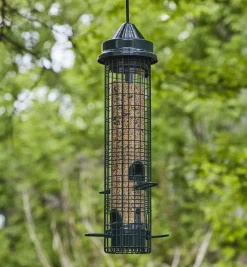 Lee Valley Birding>Squirrel Buster Classic Bird Feeder