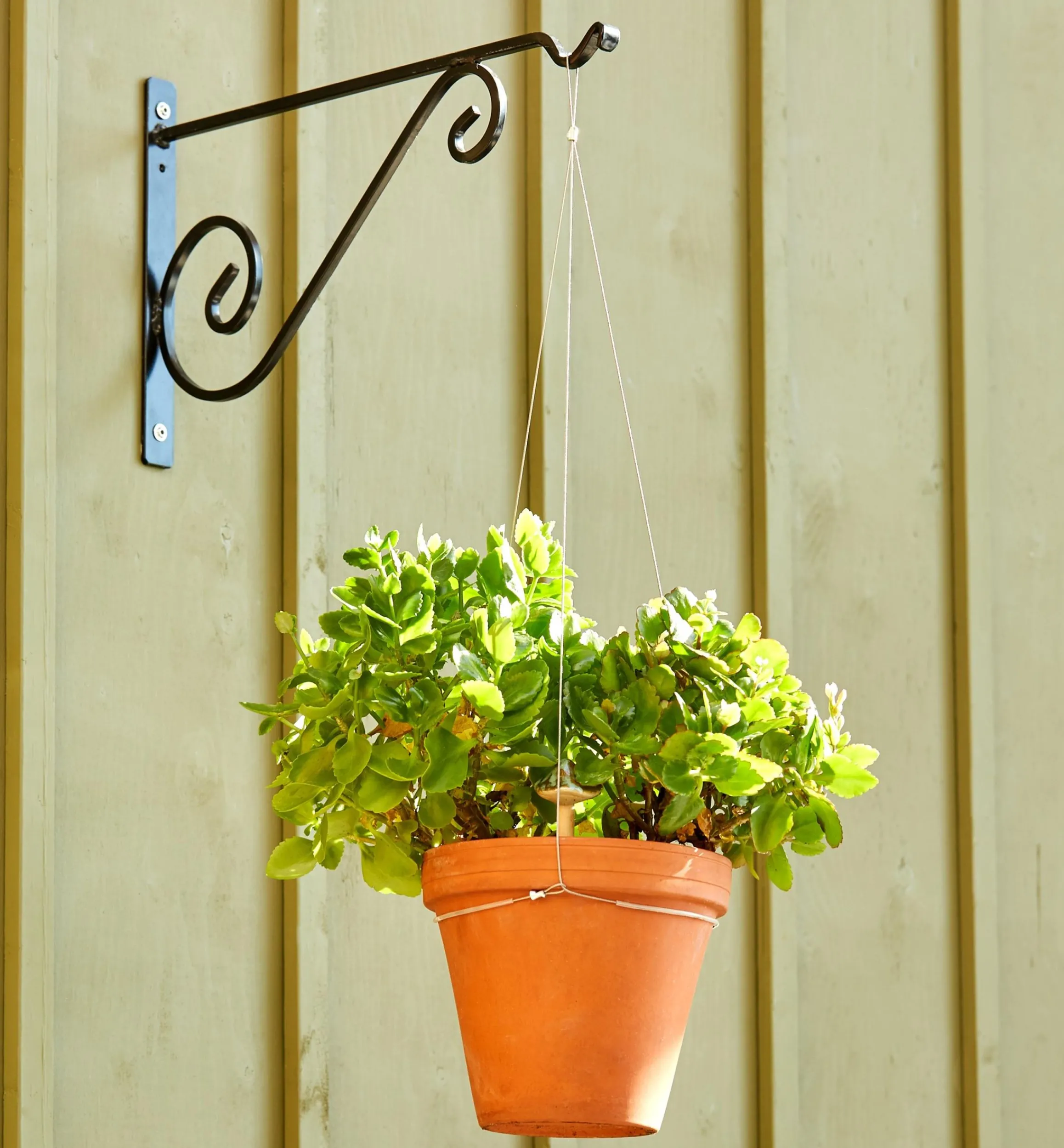 Lee Valley Container Gardening>Stainless-Steel Adjustable Pot Hanger