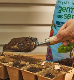 Lee Valley Indoor Gardening>Stainless-Steel Mini Scoop