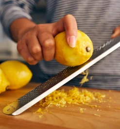 Lee Valley Kitchen Tools>Stainless-Steel Rasp