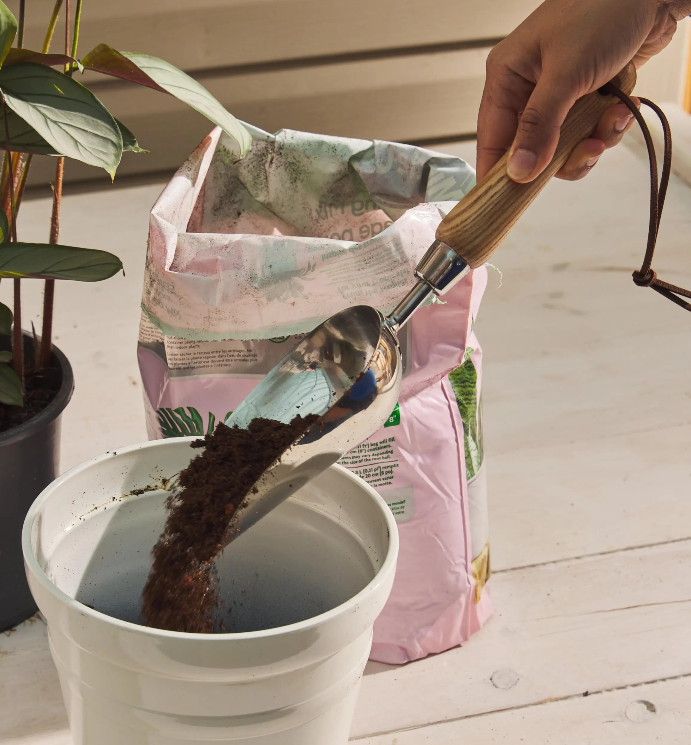 Lee Valley Indoor Gardening>Stainless-Steel Scoop