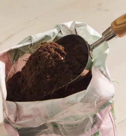 Lee Valley Indoor Gardening>Stainless-Steel Scoop